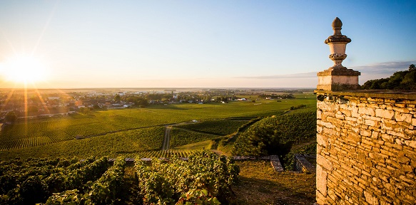 chateau-gris-albert-bichot